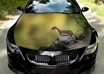 Виниловые наклейки на капот автомобиля с изображением Американской Куницы Оберните Виниловой пленкой Наклейки на крышку двигателя, Универсальную Защитную пленку на капот автомобиля