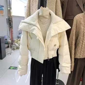 Новая Женская хлопковая куртка корейское издание универсальная тенденция пальто хлопка короткие свободные пальто хлопка утолщение пальто