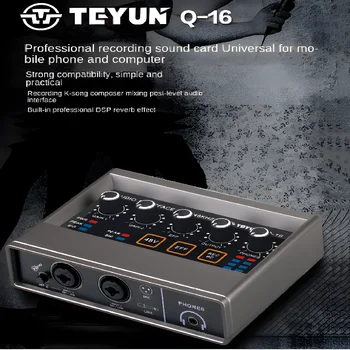 Аудиоинтерфейс TEYU Q-16 Звуковая карта с преобразователем 16 бит/48 кГц Электрогитара Для Записи Концертов Профессиональная студия Sing Podcast Q16