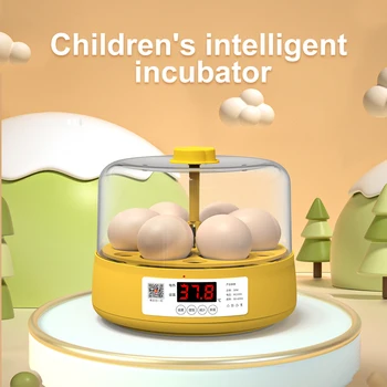 C2 Полноавтоматический Инкубатор с 6 Яйцами, Инкубаторная Машина Для Контроля Температуры И Влажности, Инкубатор Для Выращивания Цыплят, Уток, Перепелов, Птичья Брудерная Ферма