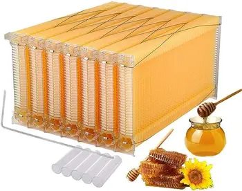 Автоматический самотекущий мед, 7 Рамок для пчелиных ульев, Оборудование для пчеловодства, инструмент для пчеловодства